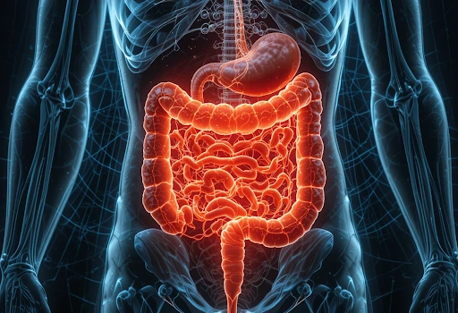 Stomach Noises and Bowel Cancer Signal